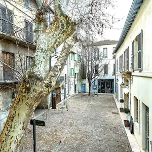 Entre Le Pont D' Et Le Palais Des Papes Appartement